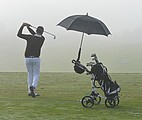 Golf umbrella with windscreen