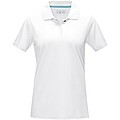 Graphite short sleeve women’s GOTS organic polo
