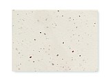 Grass seed paper memo block