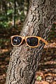 GRS recycled PP plastic sunglasses