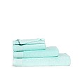 Guest Towel 30x50 cm, mint