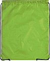 Gym bag made of polyester, light green