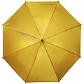 Hands-free umbrella