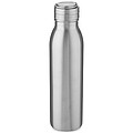 Harper 700 ml stainless steel water bottle with metal loop