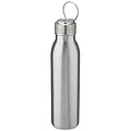 Harper 700 ml stainless steel water bottle with metal loop