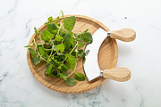 herb cutting set