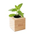 Herb pot wood