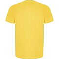 Imola short sleeve mens sports t-shirt