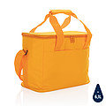 Impact AWARE™ large cooler bag