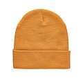 Impact Polylana® beanie with AWARE™ tracer