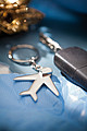 Key ring 