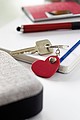 Key ring 