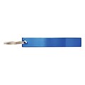 Keychain, blue