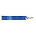 Keychain, blue
