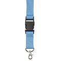 Lanyard and key holder
