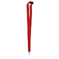 Lanyard metal hook and buckle