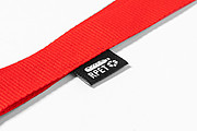 lanyard