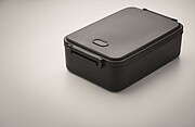 Large recycled PP lunch box