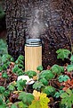 Leak proof bamboo vacuum bottle