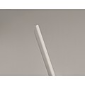 Long lasting inkless pen, white
