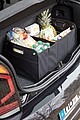 Luggage compartment bag CAR-GADGET