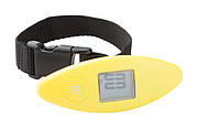 luggage scale