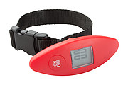 luggage scale