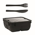 Lunch box with cutlery 600ml