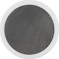 Magnet