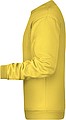 Men s sweathirt James Nicholson, light yellow, S