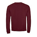 MENS ROUND-NECK SWEATSHIRT SPIDER, OXBLOOD, L
