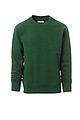 Mens sweatshirt PAYPER ORLANDO, dark green, XS