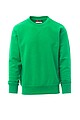 Mens sweatshirt PAYPER ORLANDO, green, XS