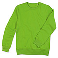 Mens sweatshirt STEDMAN SELECT kiwi S