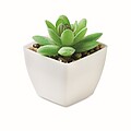 Mini artificial plant, white