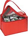 Mini nylon cooler bag for 6 cans, red