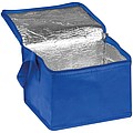 Non-woven cooling bag - 6 cans