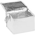 Non-woven cooling bag - 6 cans