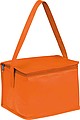 Non-woven cooling bag - 6 cans