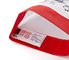 Nonwoven (80 gr/m2) Christmas hat