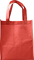 Nonwoven (80gr) carry/shopping bag.