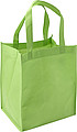 Nonwoven (80gr) carry/shopping bag.
