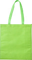 Nonwoven (80gr) cooling bag