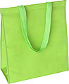 Nonwoven (80gr) cooling bag