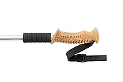 nordic walking stick