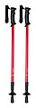 nordic walking sticks