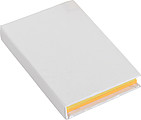 Notebook with sticky notes