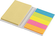 Notebook with sticky notes