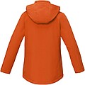 Notus womens padded softshell jacket
