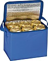 Nylon cooler bag, blue